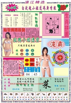 濠江精选B